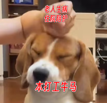 202505071352319360.Png